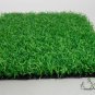 Cynodon Dactylon, Bahama Grass Seed 10000 PCS, Durva Bermuda Gou Yagen