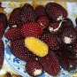 Strawberry Maize, Fruit Corn Seed 300 PCS, Zea Mays Caomei Yu Mi