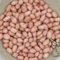 Chinese Groundnut, Arachis Hypogaea Seed 200 PCS, White Peanut Bai Hua Sheng