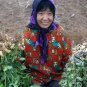 Arachis Hypogaea, Se-enriched Black Peanut Seed 200 PCS, Groundnut Hei Hua Sheng
