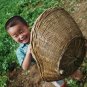 Arachis Hypogaea, Red Peanut Seed 200 PCS, Chinese Groundnut Hong Hua Sheng