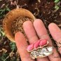 Arachis Hypogaea, Red Peanut Seed 200 PCS, Chinese Groundnut Hong Hua Sheng