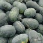 Tsamma Melon, Citrullus Lanatus Seed 1000 PCS, Watermelon Hei Meiren Xigua