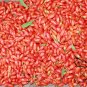 Lycium Barbabarum, Goji Berry Wolfberry Seed 2000 PCS, Gouqi