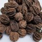 Juglans Regia, Persian Walnut Seed 20 PCS, English Walnut Shan Hetao
