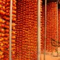 Diospyros Kaki, Kaki Persimmon Seed 300 PCS, Asian Persimmon Shizi