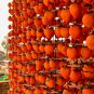Diospyros Kaki, Kaki Persimmon Seed 300 PCS, Asian Persimmon Shizi
