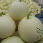 Cucumis Melo, Sweet Melon Seed 1000 PCS, Bai Tian Gua
