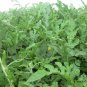 Citrullus Lanatus, Sweet Melon Seed 1000 PCS, Watermelon Hua Pi Xigua