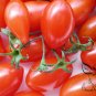 Cherry Tomatoes, Lycopersivon Esculentum Seed 2000 PCS, Tomato Sheng Nv Guo