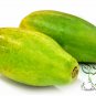 Chaenomeles Sinensis, Papaw Papaya Seed 500 PCS, Carica Papaya Fan Mu Gua