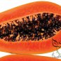 Chaenomeles Sinensis, Papaw Papaya Seed 500 PCS, Carica Papaya Fan Mu Gua