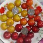 Cerasus Humilis, Prunus Humilis Seed 300 PCS, Chinese Dwarf Cherry Ou Li