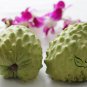 Annona Squamosa, Sugar-apple Seed 100 PCS, Custard Apple Fan Lizhi