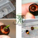 Water Lotus, Nelumbo Nucifera Seed 50 PCS, Sacred Lotus Wan Lian