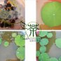 Water Lotus, Nelumbo Nucifera Seed 50 PCS, Sacred Lotus Wan Lian