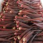 Red Okra Ochro, Abelmoschus Esculentus Seed 1000 PCS, Hong Qiukui