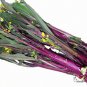 Red Oilseed Rape, Brassica Napus Seed 5000 PCS, Hong Youcai Tai