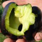 Purple Sweet Pepper, Bell Pepper Seed 2000 PCS, Capsicum Annuum Zi Tian Jiao