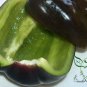 Purple Sweet Pepper, Bell Pepper Seed 2000 PCS, Capsicum Annuum Zi Tian Jiao
