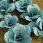 Purple Cabbage, Brassica Oleracea Seed 2000 PCS, Red Cabbage Zi Ganlan