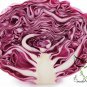 Purple Cabbage, Brassica Oleracea Seed 2000 PCS, Red Cabbage Zi Ganlan