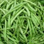 Phaseolus Vulgaris, Four Seasons Bean Seed 500 PCS, Ai Gan Siji Dou