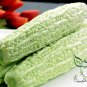 Momordica Charantia, White Bitter Melon Seed 200 PCS, Bitter Squash Bai Kugua