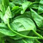 Malabar Spinach, Basella Alba Seed 2000 PCS, Ceylon Spinach Mu Er Cai