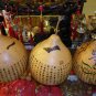 Lagenaria Siceraria, White-flowered Gourd Seed 200 PCS, Bottle Gourd Hulu Piao