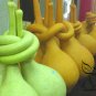 Lagenaria Siceraria, Bottle Gourd Seed 200 PCS, Long Melon Chang Bing Hulu