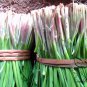 Garlic Chives, Allium Tuberosum Seed 5000 PCS, Oriental Garlic Zigen Jiucai