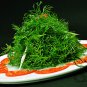 Foeniculum Vulgare, Florence Fennel Seed 3000 PCS, Finocchio Xiao Huixiang