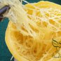 Cucurbita Pepo, Summer Squash Seed 300 PCS, Jin Si Jiao Gua