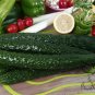 Cucumis Sativus, Common Cucumber Seed 2000 PCS, Huanggua
