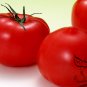 Common Tomato, Lycopersicon Esculentum Seed 2000 PCS, Xihongshi