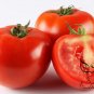 Common Tomato, Lycopersicon Esculentum Seed 2000 PCS, Xihongshi