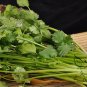Cilantro Coriander, Coriandrum Sativum Seed 3000 PCS, Xiao Ye Xiang Cai