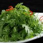 Chrysanthemum Coronarium, Glebionis Coronaria Seed 3000 PCS, Tonghao