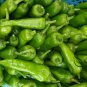 Cayenne Pepper, Capsicum Annuum Seed 2000 PCS, Chili Pepper Niujiao Jiao