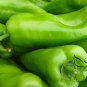 Cayenne Pepper, Capsicum Annuum Seed 2000 PCS, Chili Pepper Niujiao Jiao