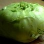 Brassica Oleracea, German Turnip Seed 2000 PCS, Kohlrabi Pie Lan