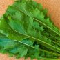 Brassica Juncea, Curled-leaf Mustard Seed 5000 PCS, Curled Mustard Xuelihong