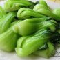 Brassica Chinensis, Bok Choi Pak Choi Seed 5000 PCS, Pok Choi Shanghai Qing