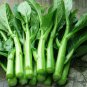 Brassica Campestris, Brassica Rapa Seed 5000 PCS, Choy Sum Cai Xin