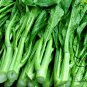 Brassica Campestris, Brassica Rapa Seed 5000 PCS, Choy Sum Cai Xin