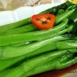 Brassica Campestris, Brassica Rapa Seed 5000 PCS, Choy Sum Cai Xin