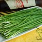 Allium Tuberosum, Garlic Chives Seed 5000 PCS, Oriental Garlic Baigen Jiucai