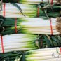 Allium Fistulosum, Welsh Onion Seed 5000 PCS, Zhang Qiu Da Cong