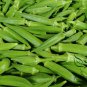 Abelmoschus Esculentus, Yellow Okra Ochro Seed 1000 PCS, Huang Qiukui